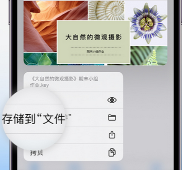 安乡apple维修中心分享iPhone文件应用中存储和找到下载文件