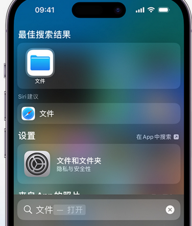 安乡apple维修中心分享iPhone文件应用中存储和找到下载文件