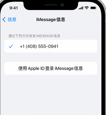 安乡apple维修iPhone上无法正常发送iMessage信息