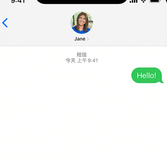 安乡apple维修iPhone上无法正常发送iMessage信息