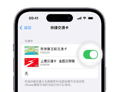 安乡apple维修点分享iPhone上更换Apple Pay快捷交通卡手绘卡面 