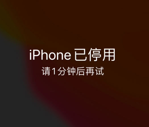 安乡苹果手机维修分享:iPhone 显示“不可用”或“已停用”怎么办？还能保留数据吗？ 