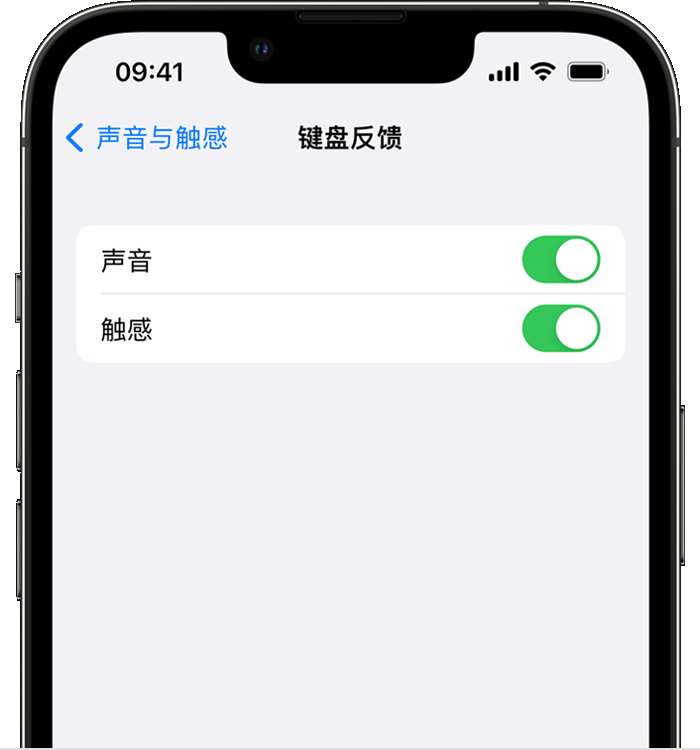 安乡苹果14维修店分享如何在 iPhone 14 机型中使用触感键盘 