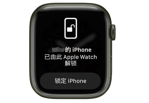 安乡苹果手机维修分享用 AppleWatch 解锁配备面容 ID 的 iPhone方法 