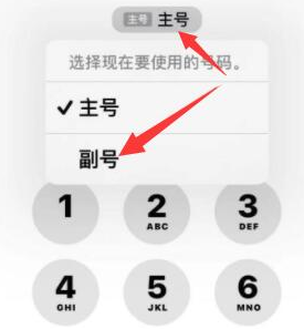 安乡苹果14维修店分享iPhone 14 Pro Max使用副卡打电话的方法 