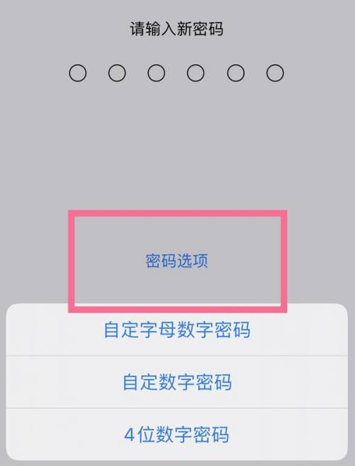 安乡苹果14维修分享iPhone 14plus设置密码的方法 