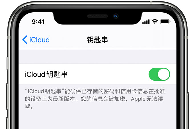 安乡苹果手机维修分享在 iPhone 上开启 iCloud 钥匙串之后会储存哪些信息 