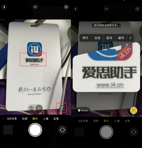 安乡苹果手机维修分享升级iOS 16后如何通过相机翻译文本 