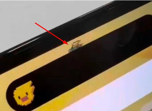 安乡苹果14维修分享iPhone 14 Pro Max灵动岛怎么养宠物 