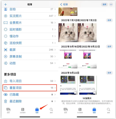 安乡苹果手机维修分享iOS 16 中相册重复项目功能使用方法 