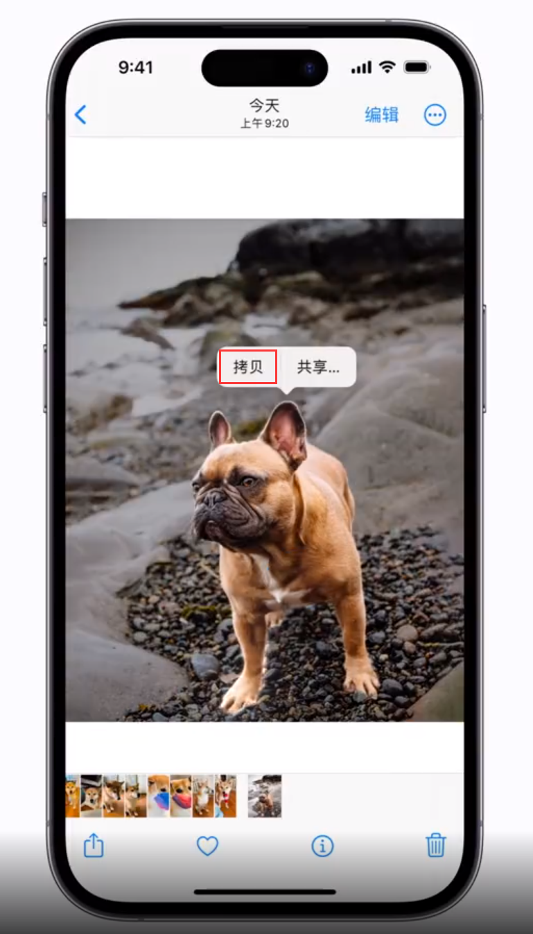 安乡苹果手机维修分享 iOS 16 自带一键抠图功能 