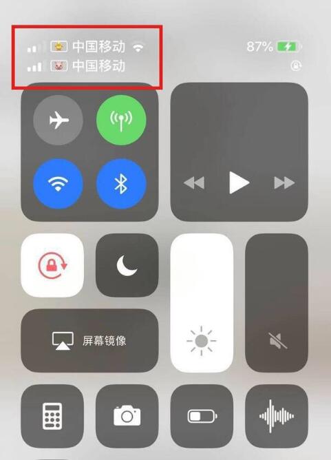安乡苹果手机维修分享为 iPhone 12 双卡设置标签 