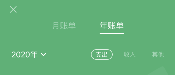 安乡苹果手机维修分享如何在 iPhone 上查看支付宝和微信年支出账单 